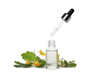 Bottle of essential oil, pipette and celandine on white background