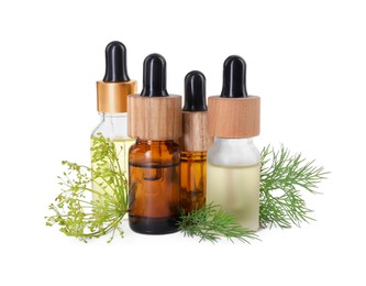 Bottles of essential oil and fresh dill isolated on white