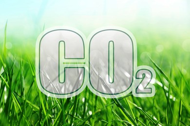 Image of Concept of clear air. CO2 inscription and green grass