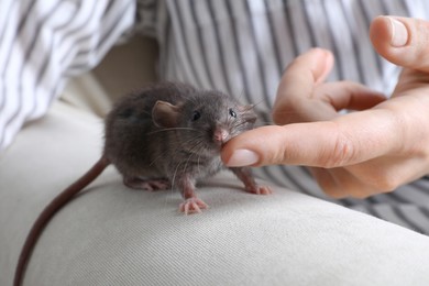 Photo of Woman with cute small rat on sofa, closeup view