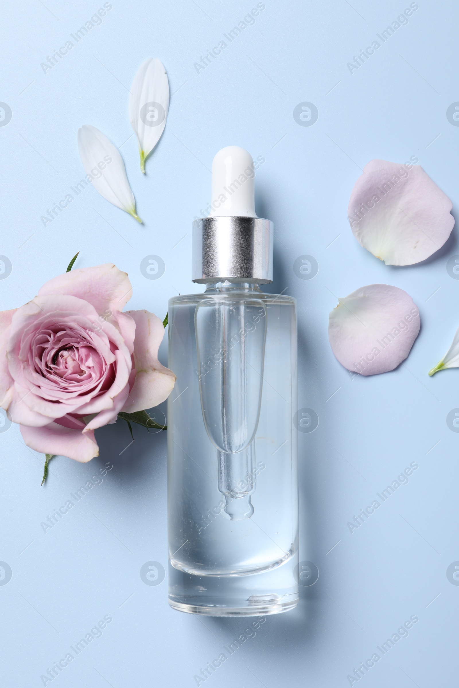 Photo of Bottle of cosmetic serum, beautiful flower and petals on light blue background, flat lay