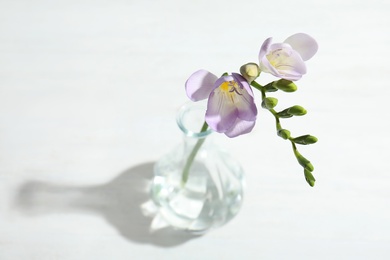 Photo of Beautiful fresh freesia with fragrant flowers in vase on white background