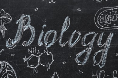 Photo of Chemical formulas and different pictures drawn on blackboard