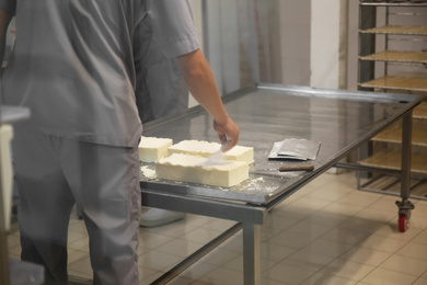 Photo of Worker salting fresh cheese at modern factory, closeup