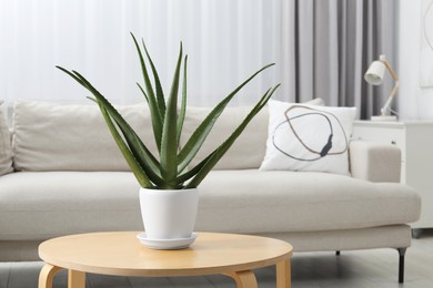 Photo of Green aloe vera in pot on table near sofa in room, space for text