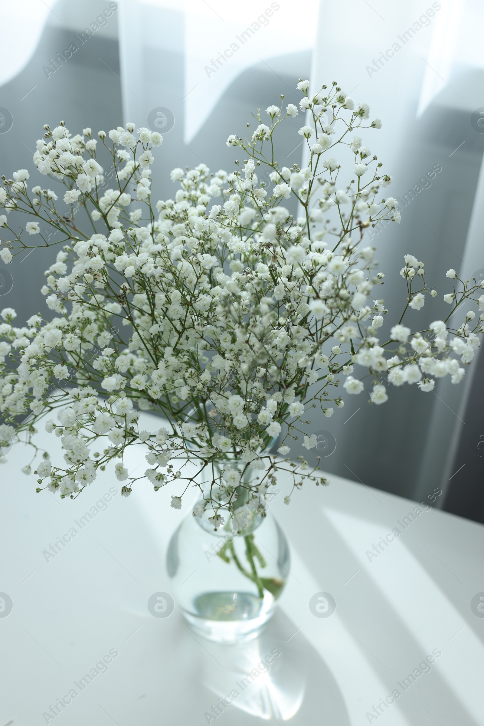 Photo of Beautiful gypsophila flowers in glass vase on white table indoors