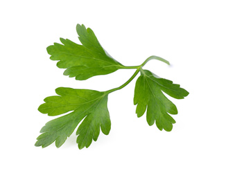 Photo of Aromatic fresh green parsley isolated on white