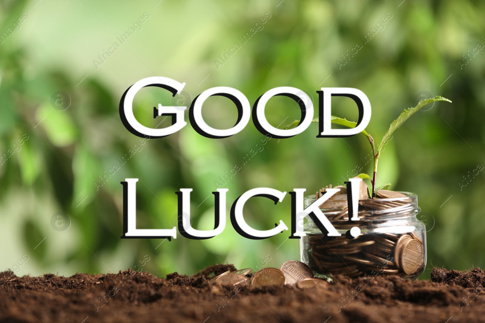 Image of Coins with green plant and phrase GOOD LUCK on blurred green background