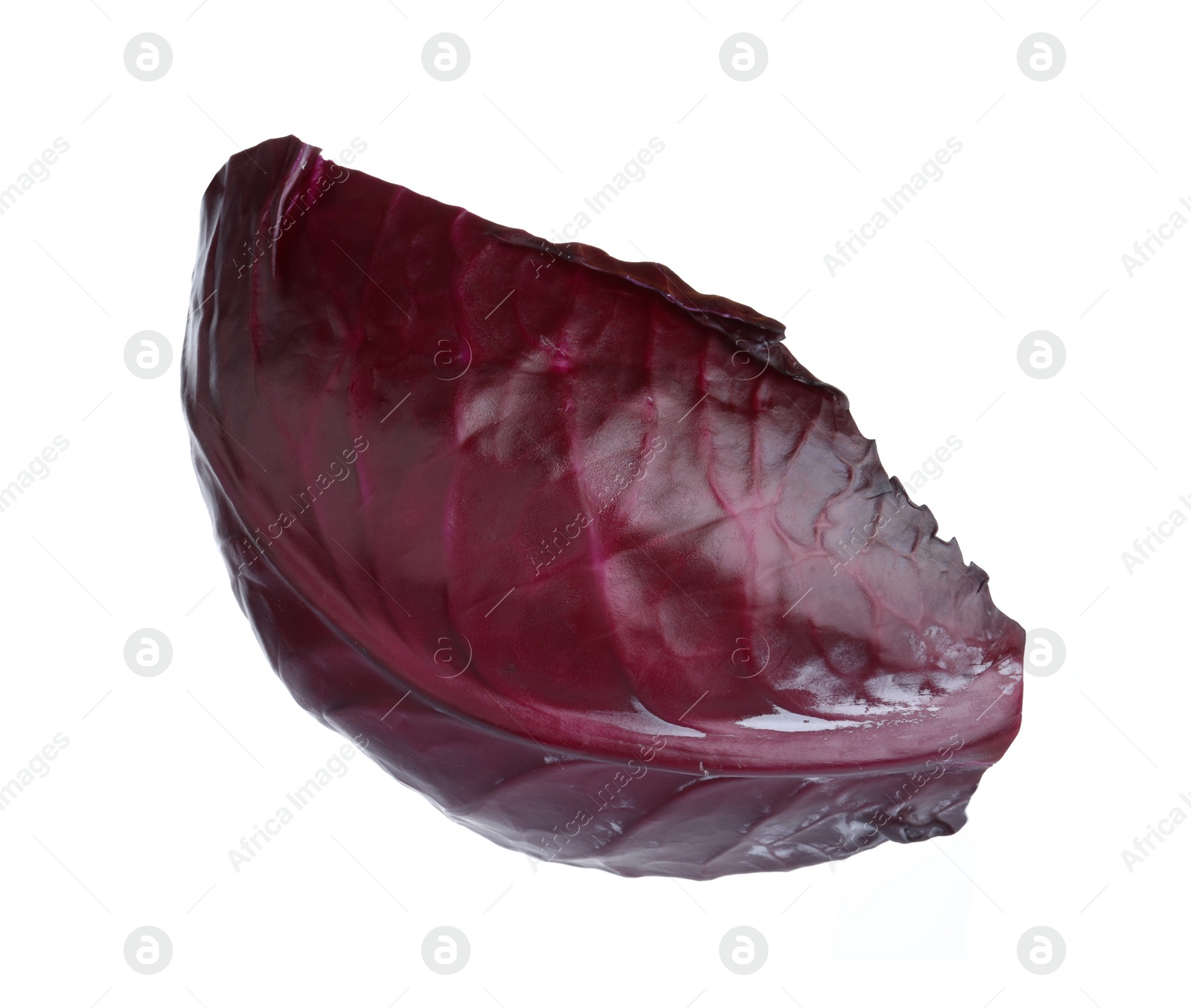 Photo of Leaf of red cabbage isolated on white