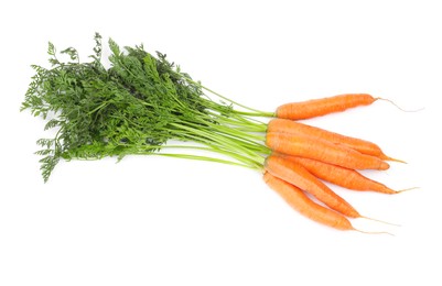 Many tasty ripe carrots on white background, top view