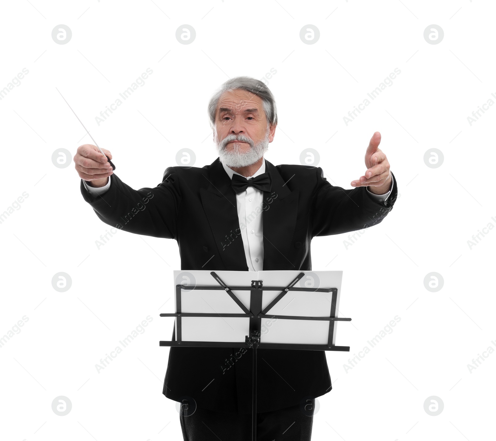 Photo of Professional conductor with baton and note stand on white background