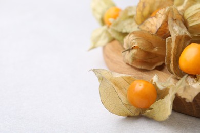 Ripe physalis fruits with calyxes on white table, closeup. Space for text