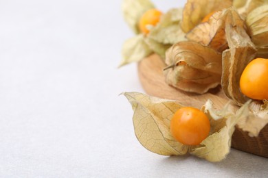 Photo of Ripe physalis fruits with calyxes on white table, closeup. Space for text