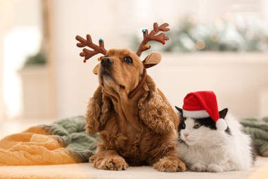 Photo of Adorable Cocker Spaniel dog with cat in reindeer headband and Santa hat on blurred background