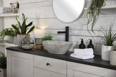 Stylish bathroom interior with vessel sink and beautiful plants