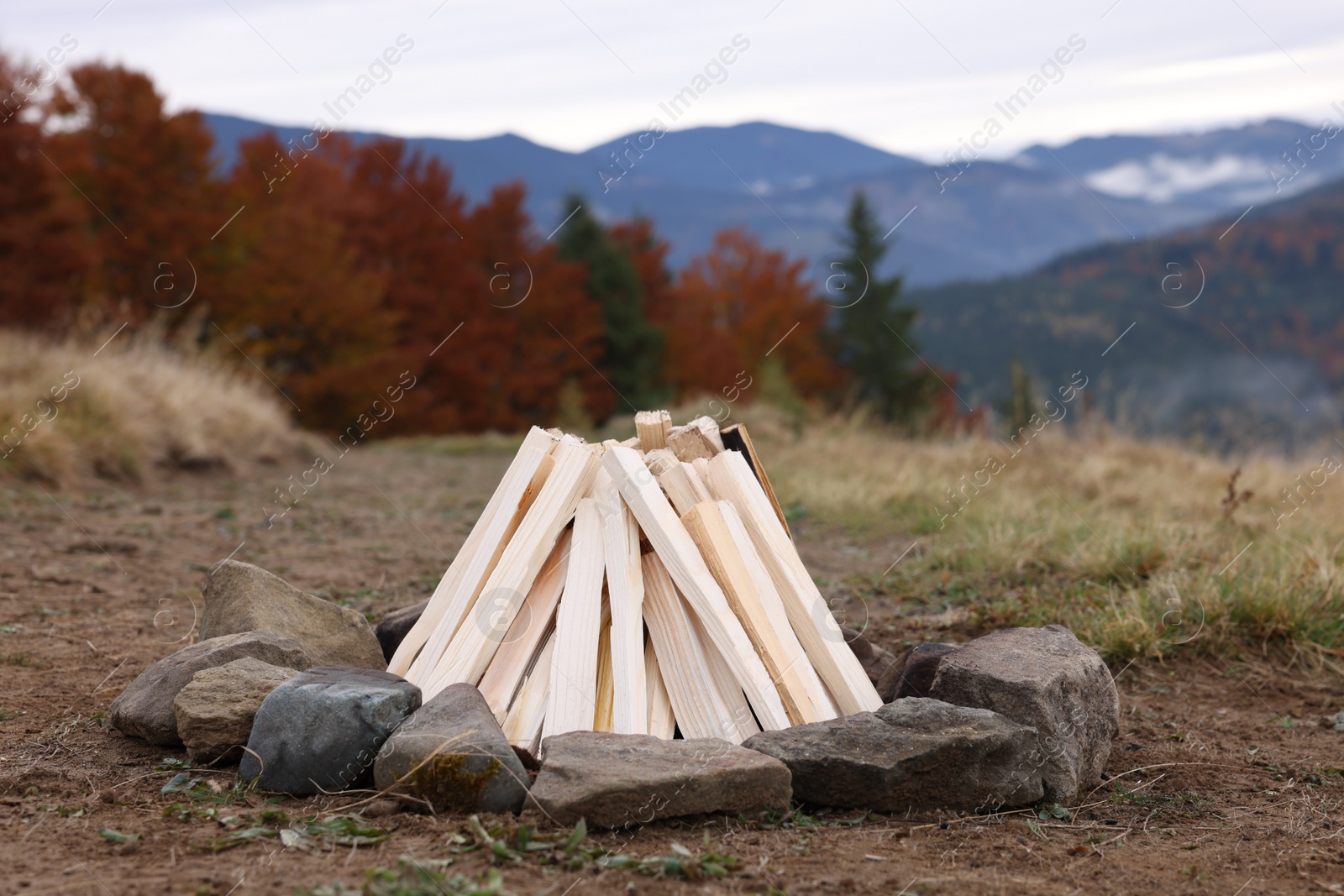 Photo of Dry wood for bonfire in mountains. Camping season
