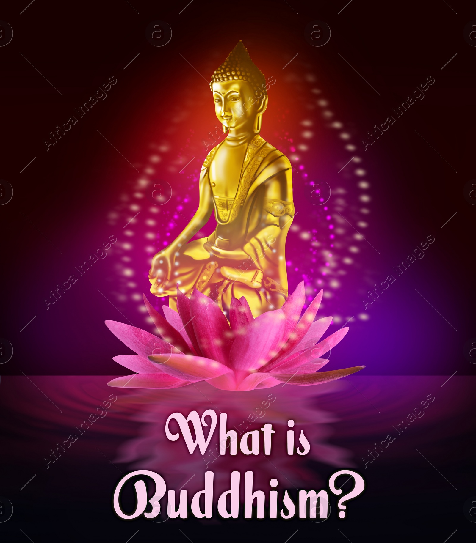 Image of Buddha figure in lotus flower on water and text What Is Buddhism