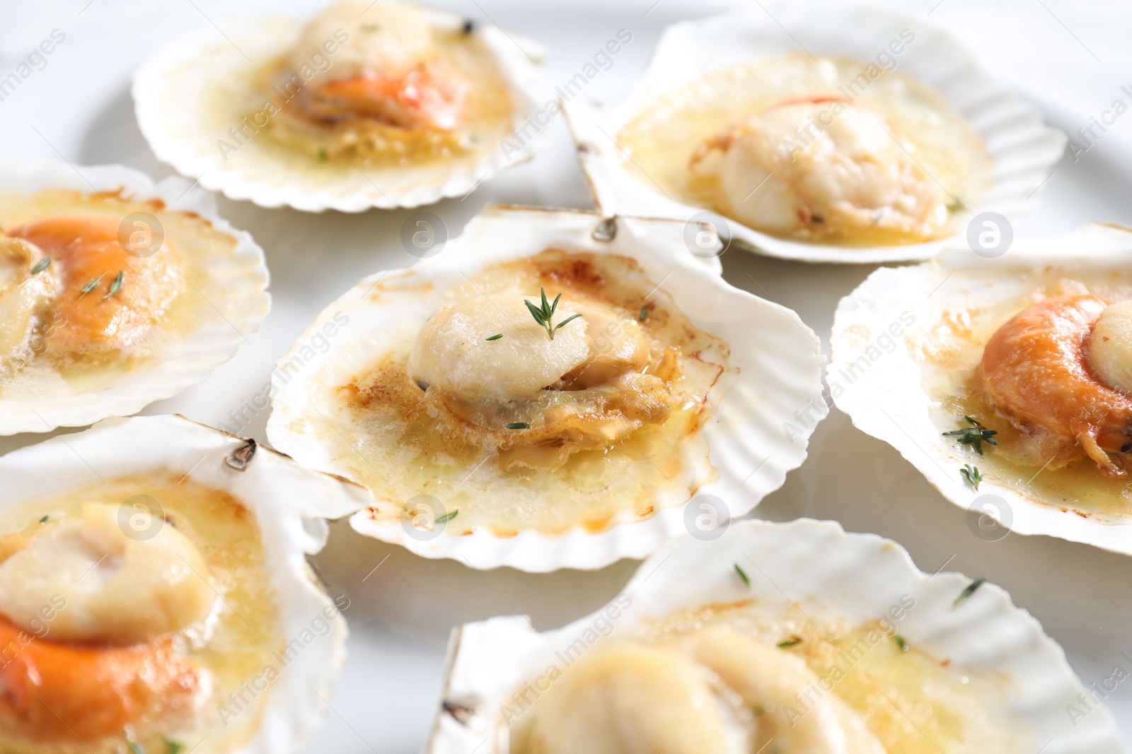 Photo of Fried scallops in shells on plate, closeup