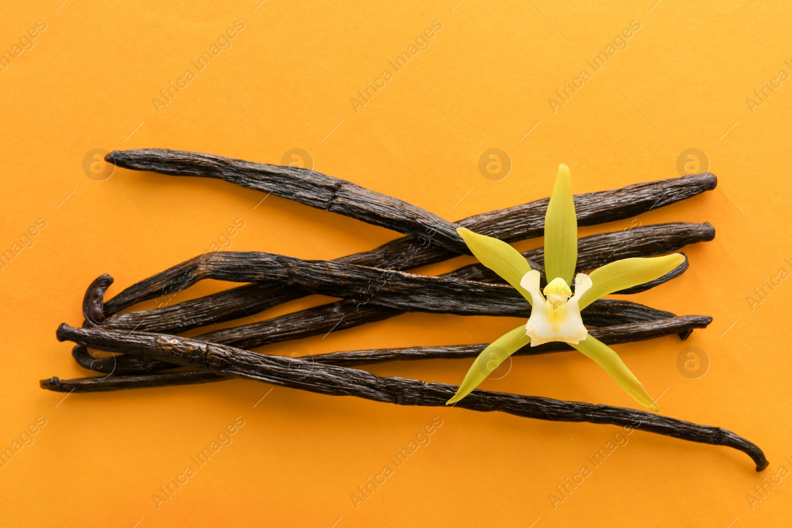 Photo of Vanilla pods and beautiful flower on orange background, top view