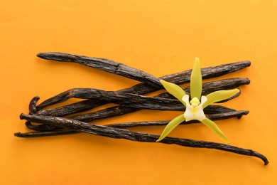 Vanilla pods and beautiful flower on orange background, top view