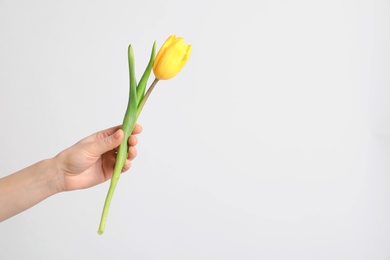 Photo of Girl holding beautiful spring tulip on light background, closeup. International Women's Day