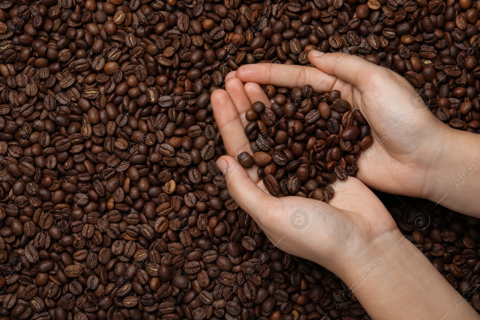 Photo of Woman with roasted coffee beans, top view. Space for text