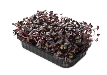 Fresh radish microgreens in plastic container isolated on white