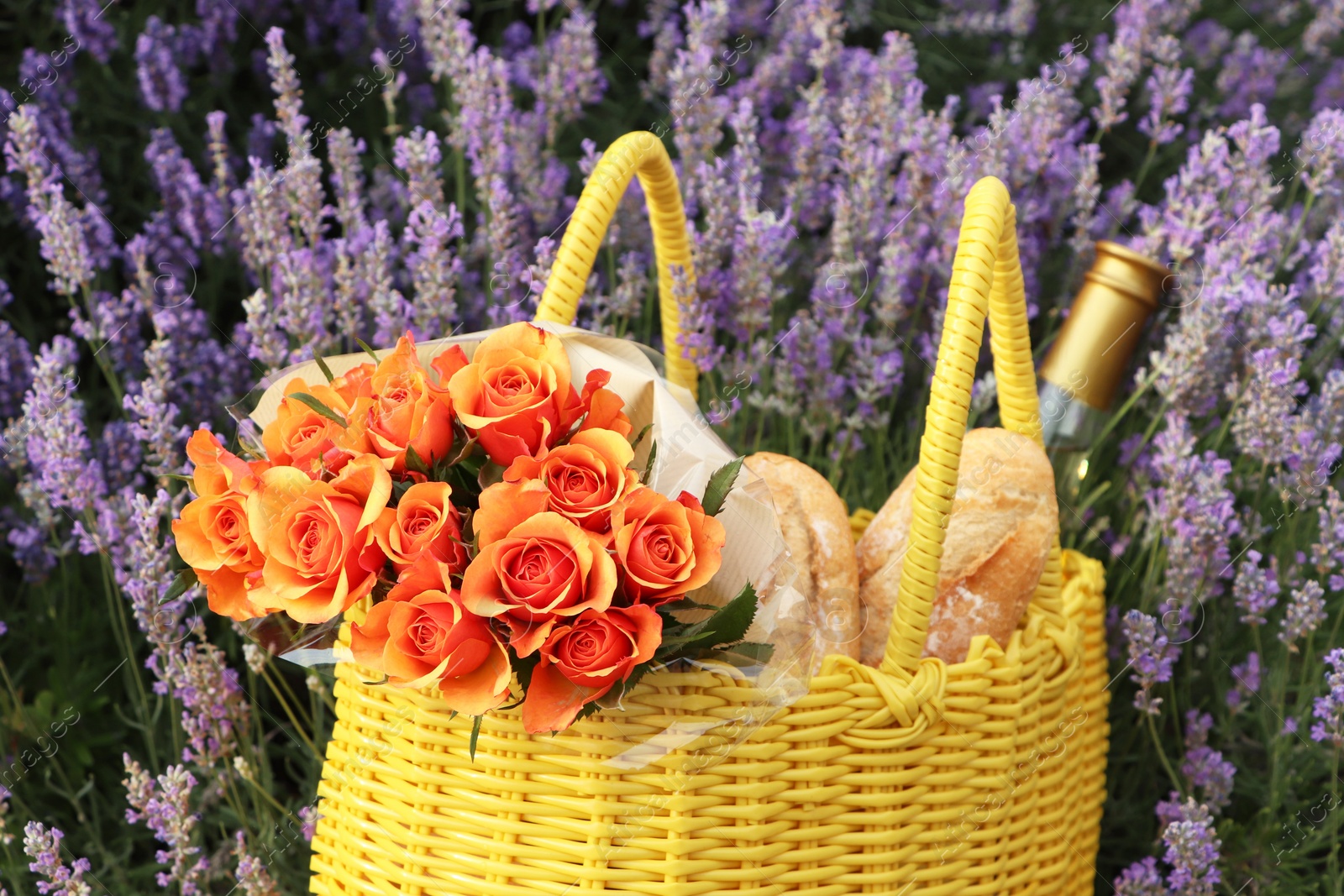 Photo of Yellow wicker bag with beautiful roses, bottle of wine and baguettes in lavender field