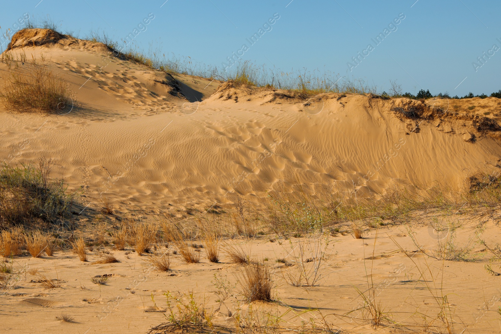 Photo of Picturesque view of desert on sunny day