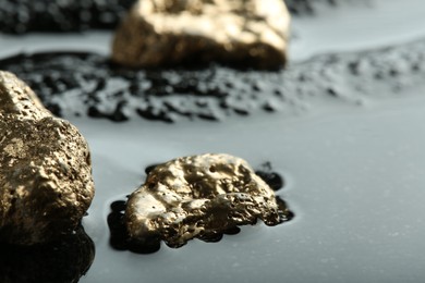 Shiny gold nuggets on wet black stone, closeup. Space for text