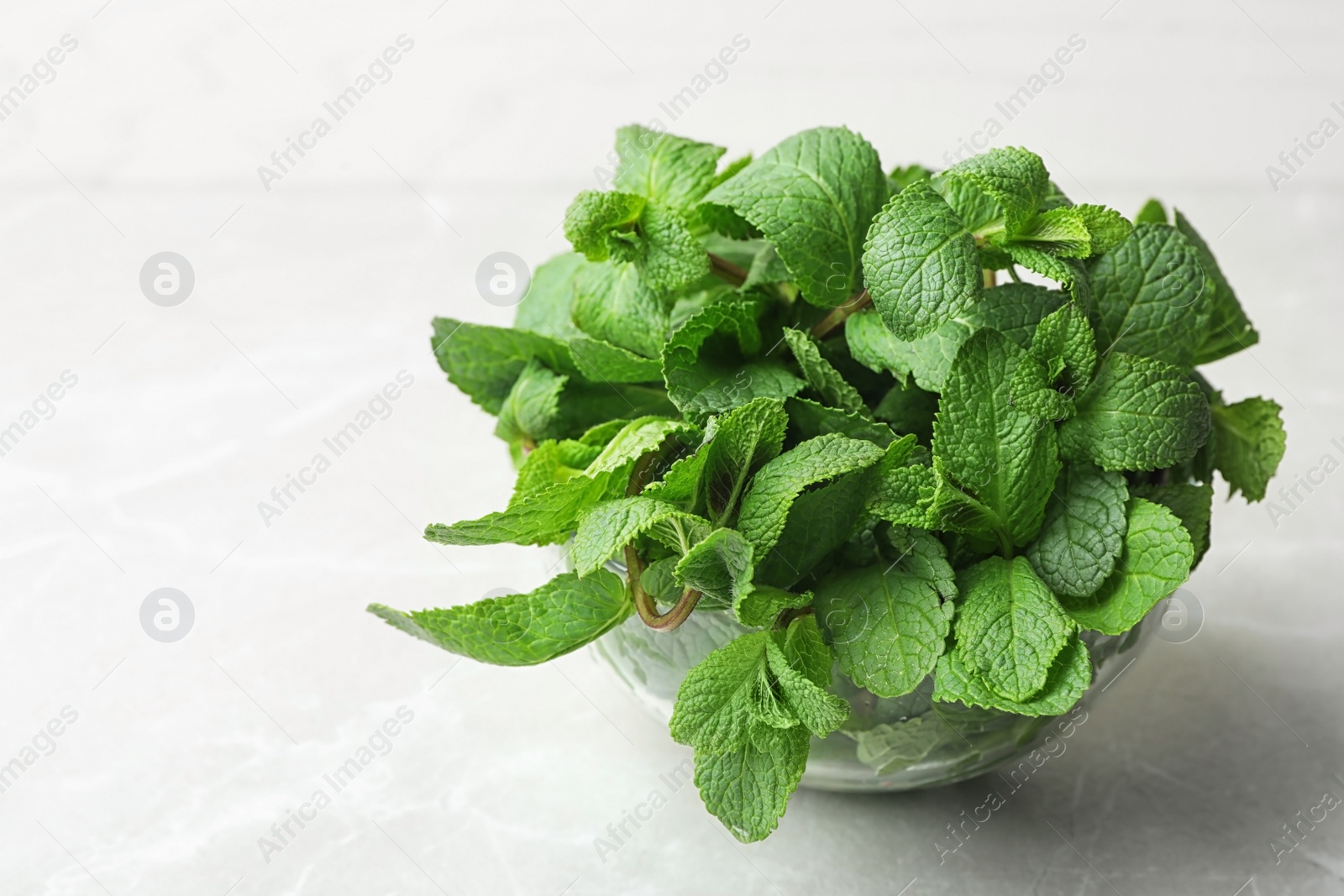 Photo of Glass bowl full of fresh green mint on light background, space for text