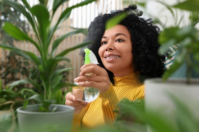 Happy woman spraying beautiful potted houseplant with water indoors