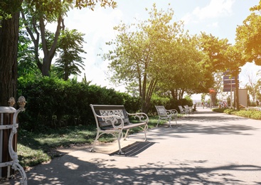 Photo of Beautiful view of green park with benches