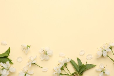 Beautiful spring tree blossoms and petals on beige background, flat lay. Space for text