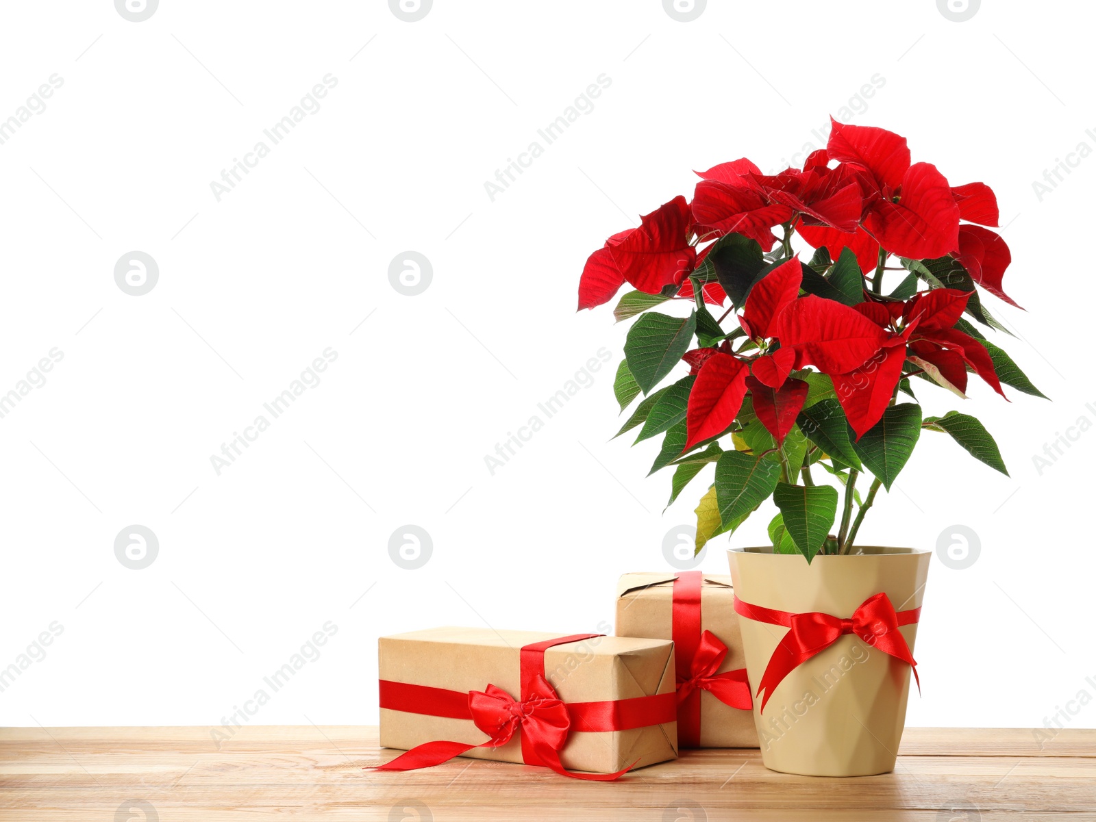 Photo of Red Poinsettia in pot and gifts on wooden table, space for text. Christmas traditional flower