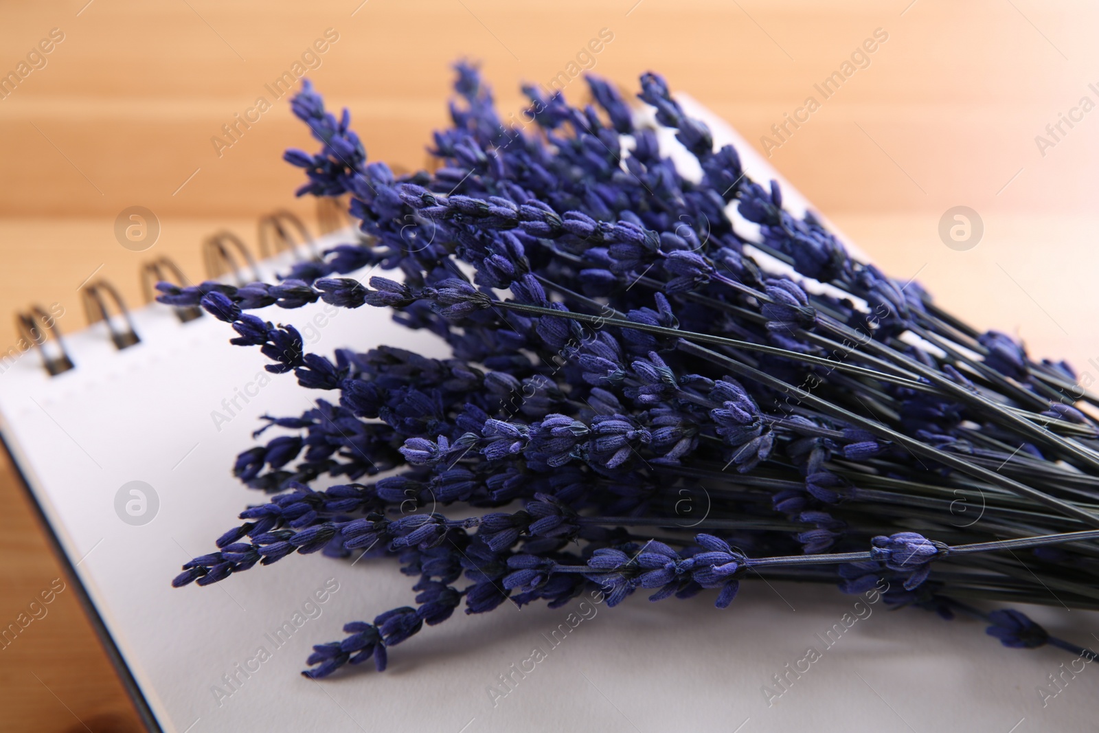 Photo of Bouquet of beautiful preserved lavender flowers and notebook on wooden table, closeup