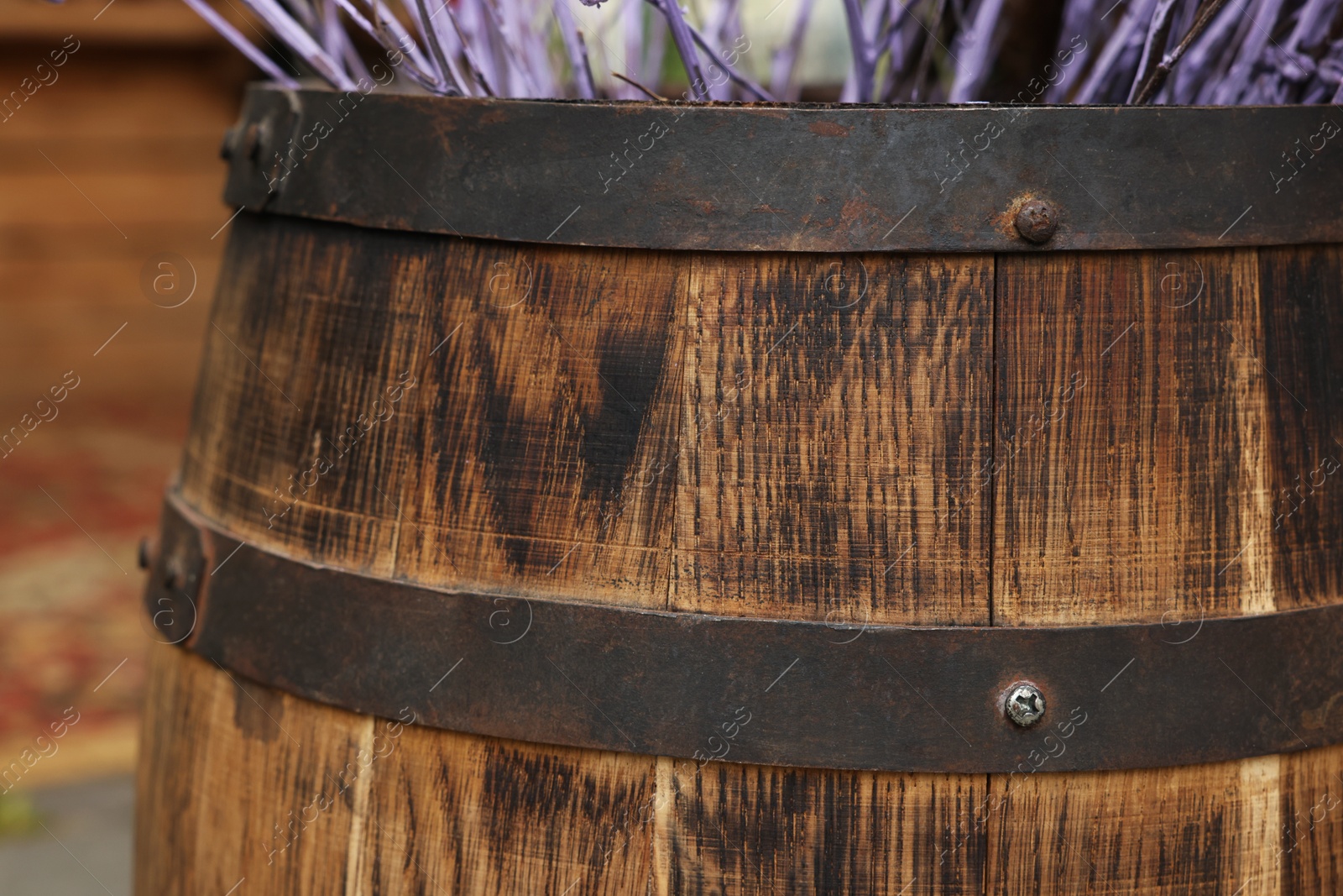 Photo of Traditional wooden barrel and decorative branches outdoors, closeup