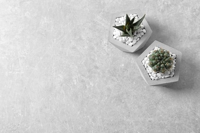 Beautiful succulent plants in stylish flowerpots on light background, flat lay with space for text. Home decor