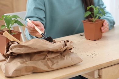 Photo of Woman planting seedling into pot at wooden table indoors, closeup