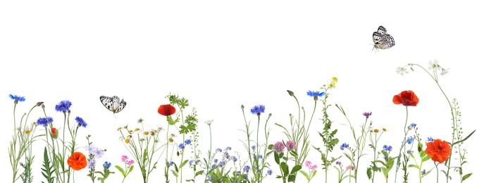 Image of Colorful meadow flowers and butterflies on white background, banner design