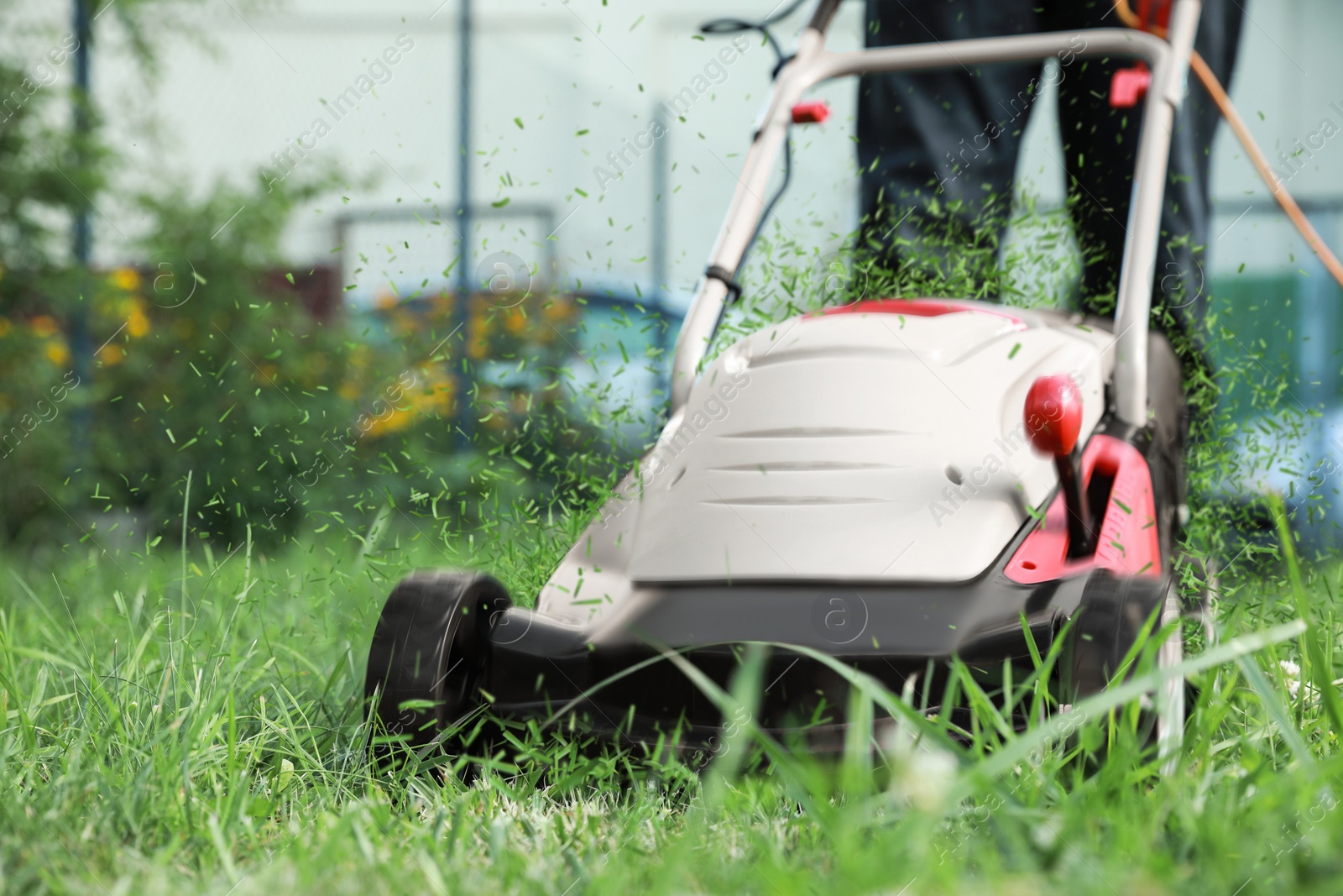 Image of Man cutting grass with lawn mower in garden, closeup