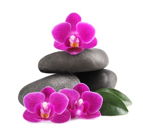 Photo of Pile of spa stones and orchid flowers on white background