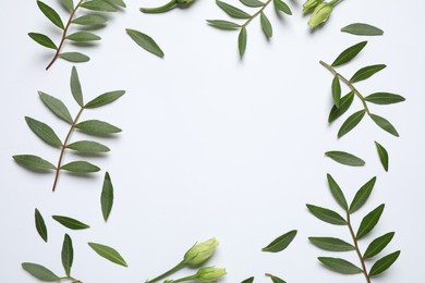 Photo of Frame made of beautiful flower buds and green branches on white background, top view with space for text. Floral card design