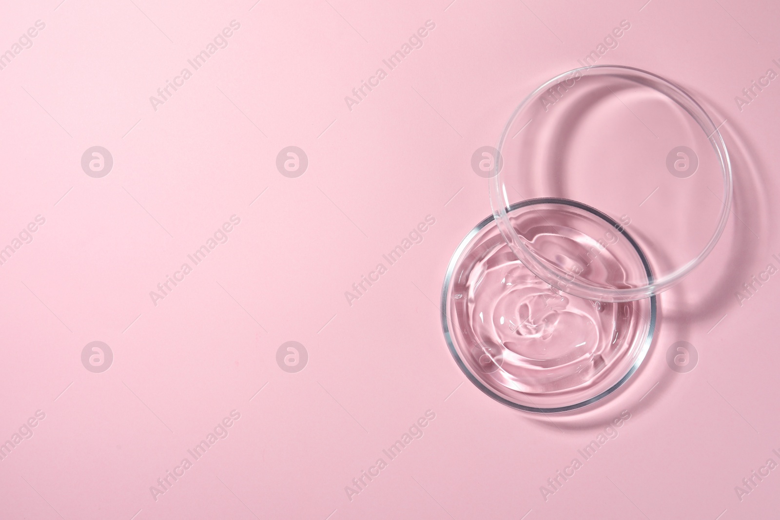 Photo of Petri dish with liquid and lid on pale pink background, flat lay. Space for text