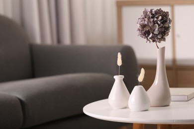 Photo of Vases with different dried plants on white table in living room, space for text