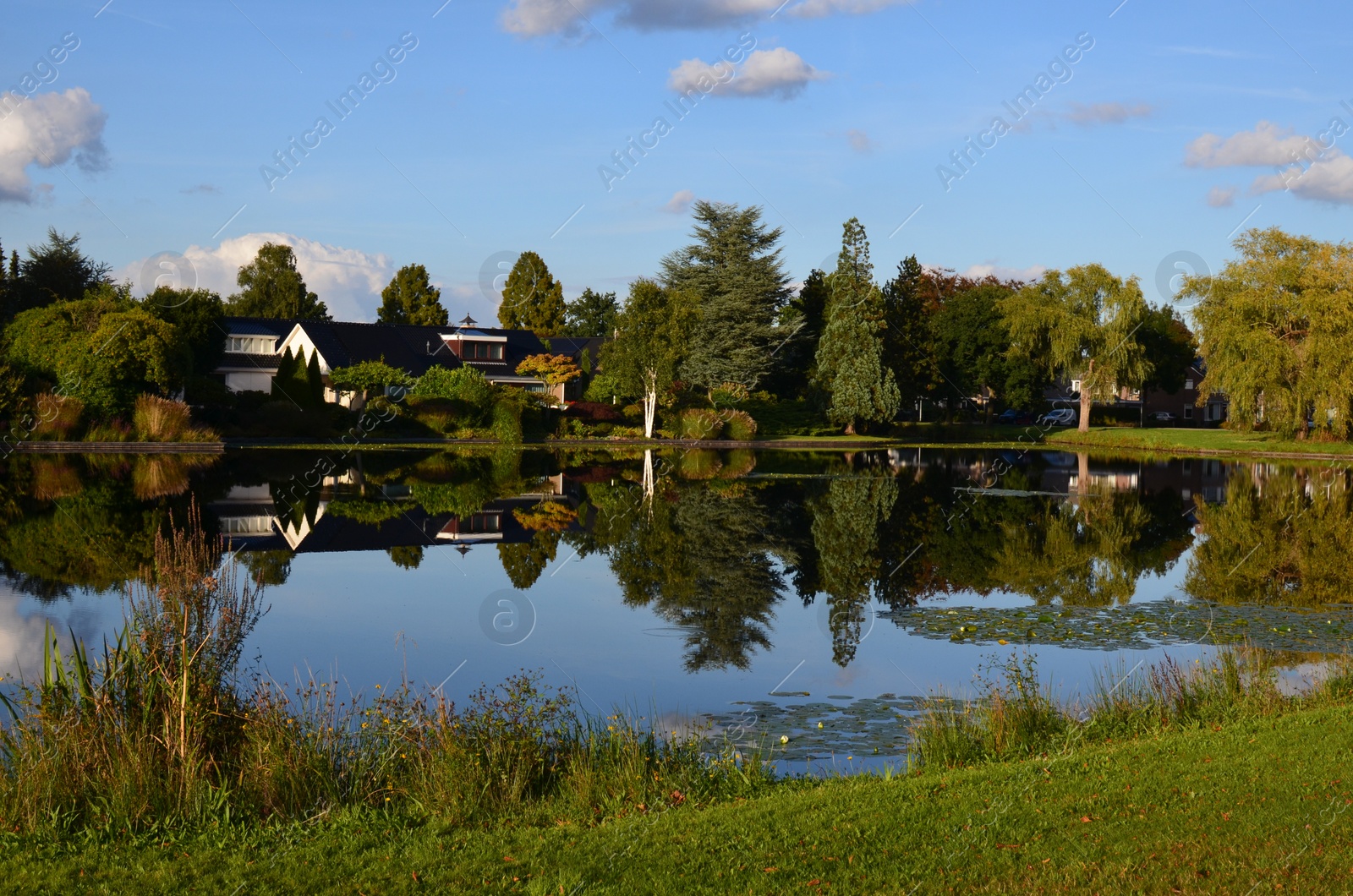 Photo of Picturesque view of pond and beautiful estate