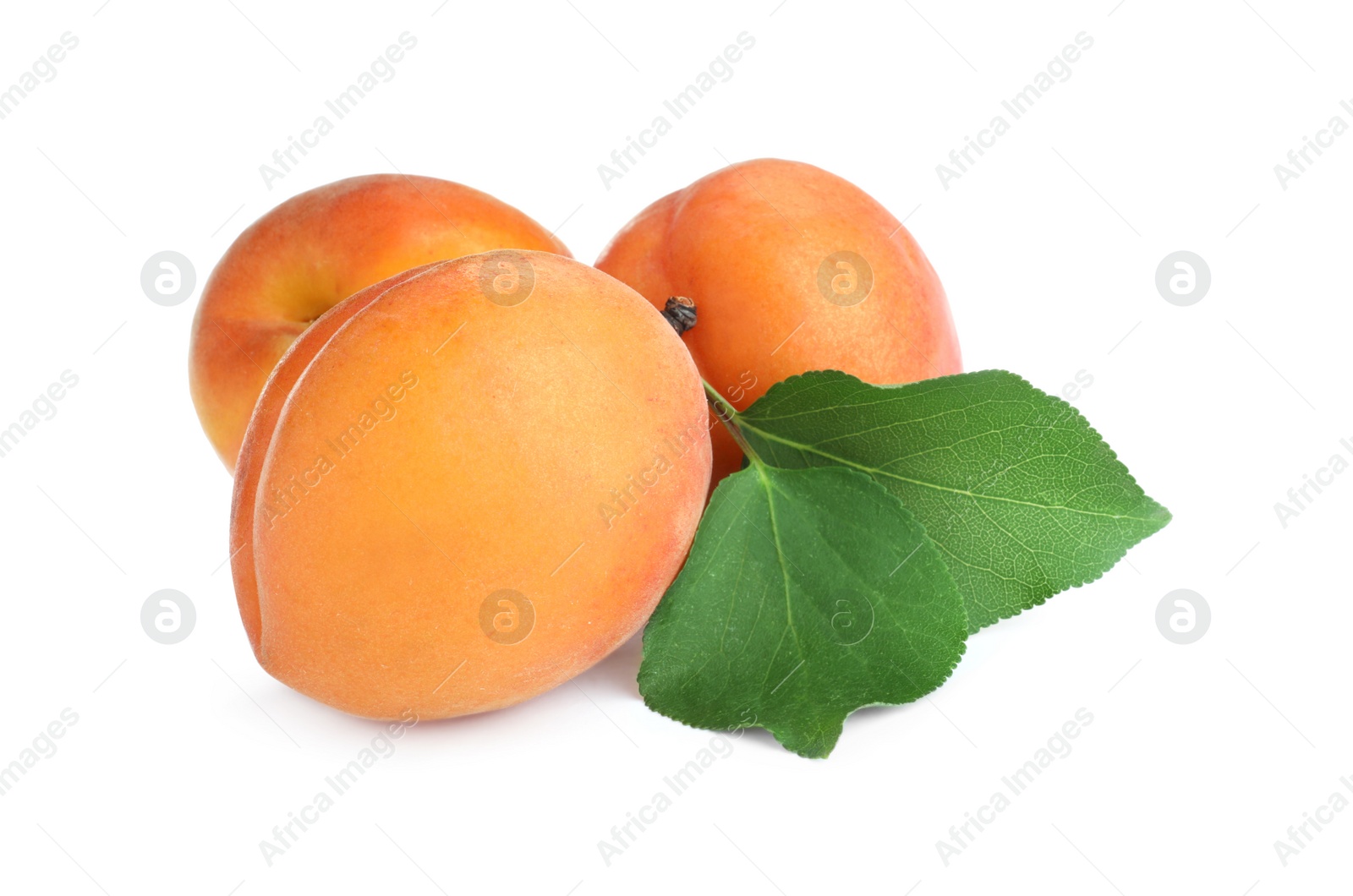 Photo of Delicious fresh ripe apricots on white background