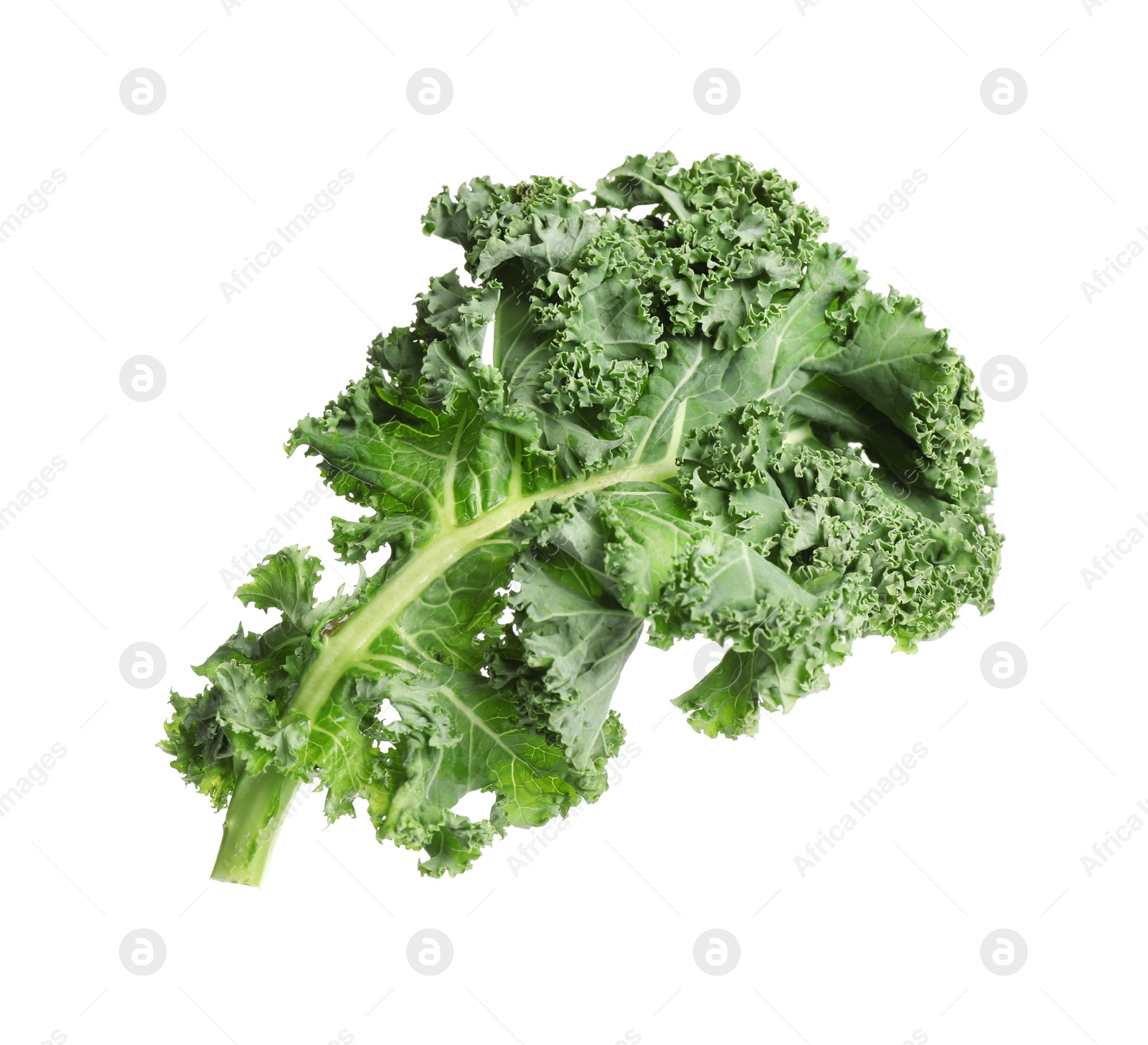 Photo of Fresh green kale leaf isolated on white