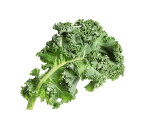 Photo of Fresh green kale leaf isolated on white