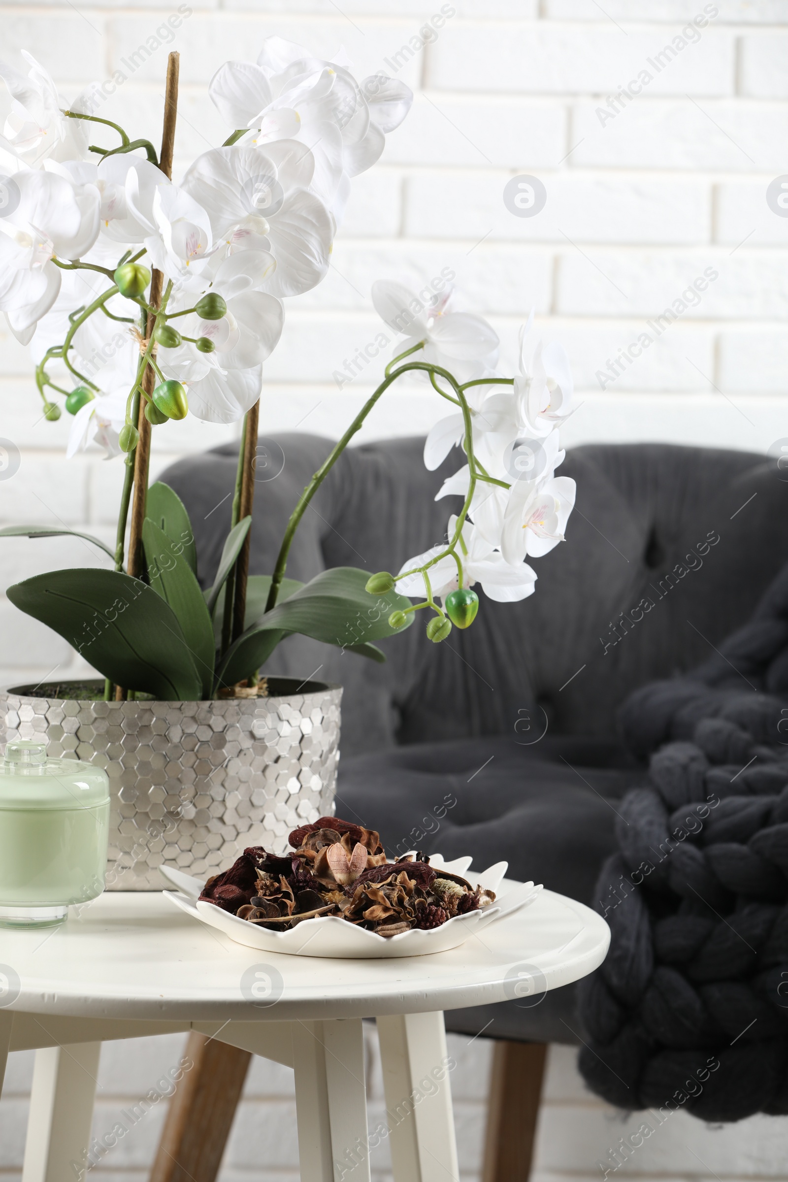 Photo of Aromatic potpourri of dried flowers in plate and beautiful houseplant on white table indoors